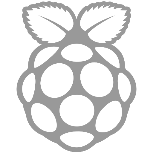 raspberry pi icon