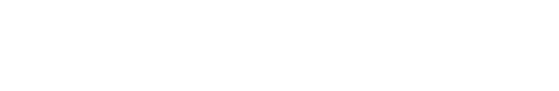 Novum logo